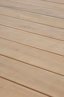 Stół BELMAR NAT/CHA. 160-240x100x75