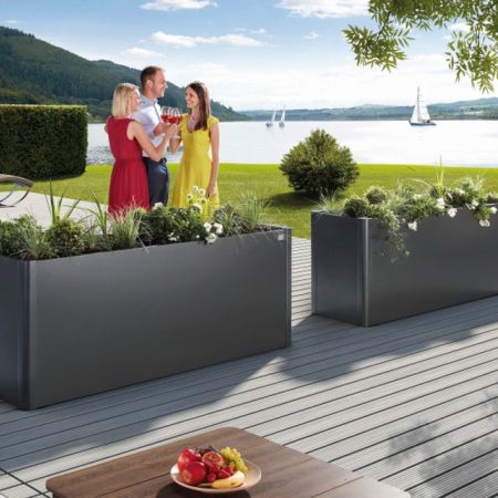 Grządki Belvedere, Biohort