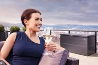 Короб для зберігання LoungeBox 200х84х88, Biohort