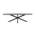 Обідній стіл Nevada Low з керамічною стільницею 250x105 cm